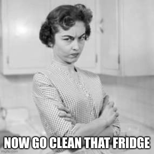 retro angry mom | NOW GO CLEAN THAT FRIDGE | image tagged in retro angry mom | made w/ Imgflip meme maker