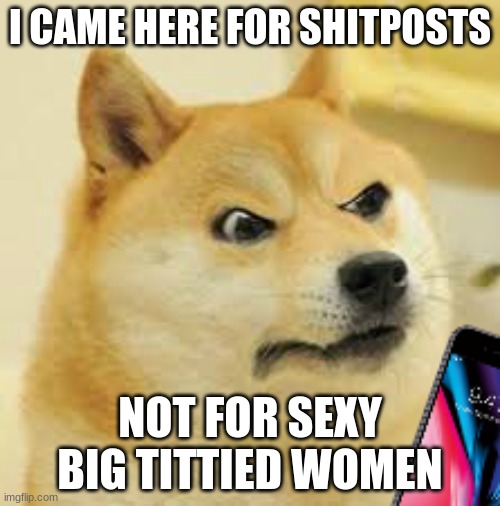 >:[ | I CAME HERE FOR SHITPOSTS; NOT FOR SEXY BIG TITTIED WOMEN | image tagged in angry doge with phone | made w/ Imgflip meme maker