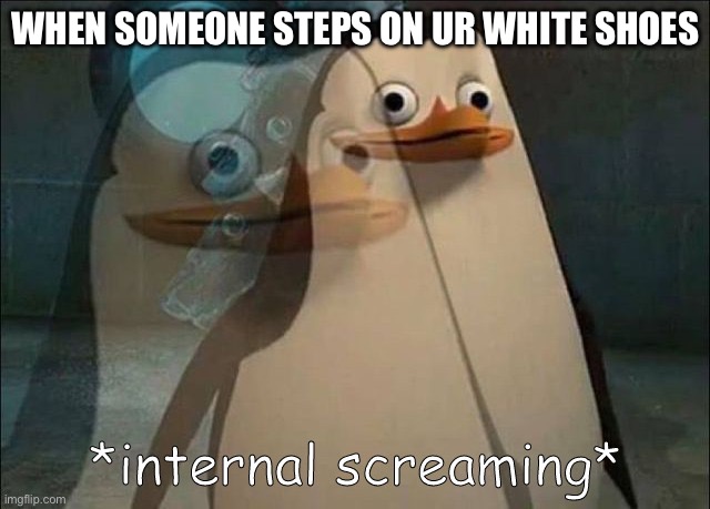 When someone steps on ur white shoes | WHEN SOMEONE STEPS ON UR WHITE SHOES | image tagged in private internal screaming,shoes,memes | made w/ Imgflip meme maker