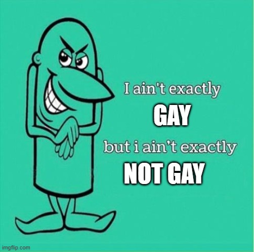 Now I aint exactly saying but i aint exactly | GAY NOT GAY | image tagged in now i aint exactly saying but i aint exactly | made w/ Imgflip meme maker