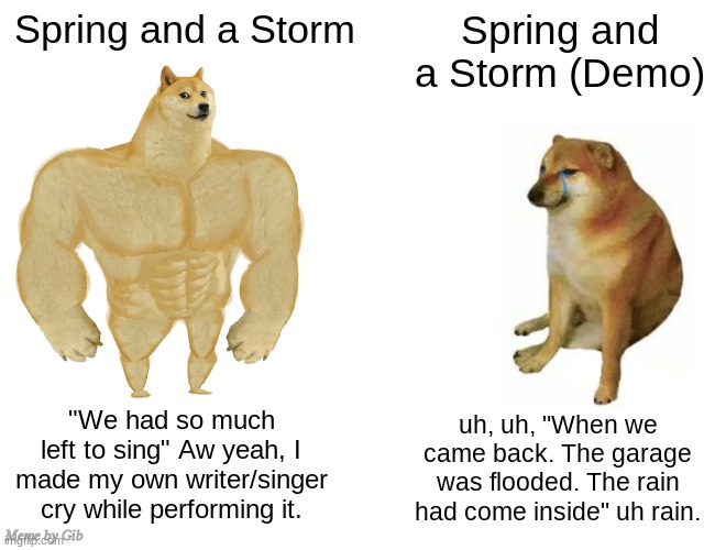 spring and sotrm demo is such a funny sotry haha | Spring and a Storm; Spring and a Storm (Demo); "We had so much left to sing" Aw yeah, I made my own writer/singer cry while performing it. uh, uh, "When we came back. The garage was flooded. The rain had come inside" uh rain. Meme by Gib | image tagged in memes,buff doge vs cheems,tally hall,spring and a storm,music,strong doge weak doge | made w/ Imgflip meme maker