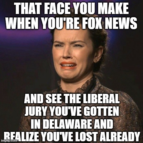 That Face You Make | THAT FACE YOU MAKE WHEN YOU'RE FOX NEWS; AND SEE THE LIBERAL JURY YOU'VE GOTTEN IN DELAWARE AND REALIZE YOU'VE LOST ALREADY | image tagged in that face you make | made w/ Imgflip meme maker