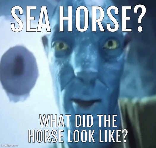 Staring Avatar 2 dude | SEA HORSE? WHAT DID THE HORSE LOOK LIKE? | image tagged in staring avatar 2 dude | made w/ Imgflip meme maker