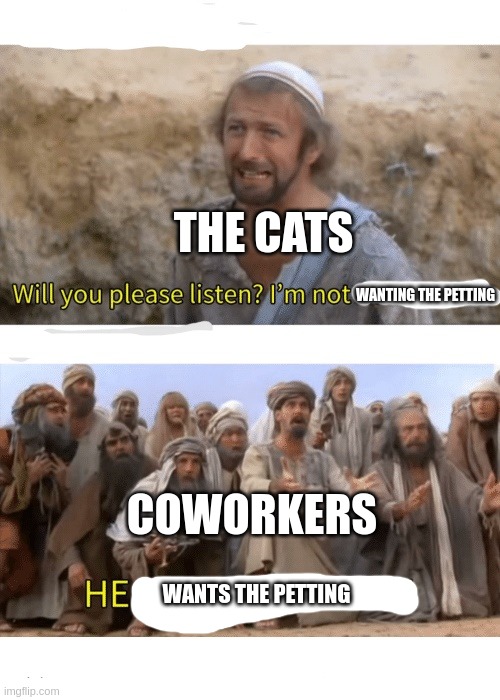 Leave the damn cat alone | THE CATS; WANTING THE PETTING; COWORKERS; WANTS THE PETTING | image tagged in he is the messiah,cats,coworkers | made w/ Imgflip meme maker