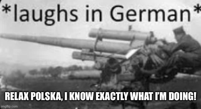 Laughs in German | RELAX POLSKA, I KNOW EXACTLY WHAT I’M DOING! | image tagged in laughs in german | made w/ Imgflip meme maker