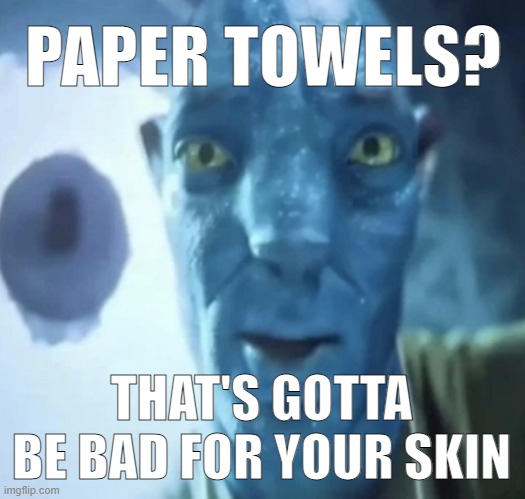 q | PAPER TOWELS? THAT'S GOTTA BE BAD FOR YOUR SKIN | image tagged in staring avatar 2 dude | made w/ Imgflip meme maker