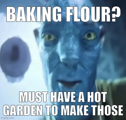 Staring Avatar 2 dude | BAKING FLOUR? MUST HAVE A HOT GARDEN TO MAKE THOSE | image tagged in staring avatar 2 dude | made w/ Imgflip meme maker