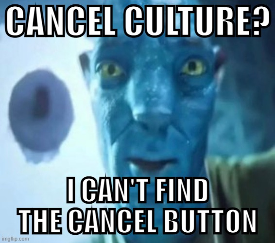 avatar guy | CANCEL CULTURE? I CAN'T FIND THE CANCEL BUTTON | image tagged in avatar guy,avatar,english,memes,funny,cancel culture | made w/ Imgflip meme maker