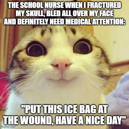 THE POWER OF ICE BAG | THE SCHOOL NURSE WHEN I FRACTURED MY SKULL, BLED ALL OVER MY FACE AND DEFINITELY NEED MEDICAL ATTENTION:; "PUT THIS ICE BAG AT THE WOUND, HAVE A NICE DAY" | image tagged in memes,smiling cat | made w/ Imgflip meme maker