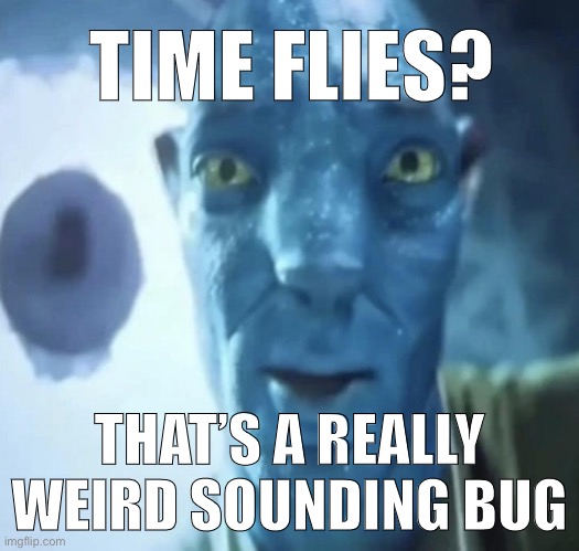 Staring Avatar 2 dude | TIME FLIES? THAT’S A REALLY WEIRD SOUNDING BUG | image tagged in staring avatar 2 dude | made w/ Imgflip meme maker