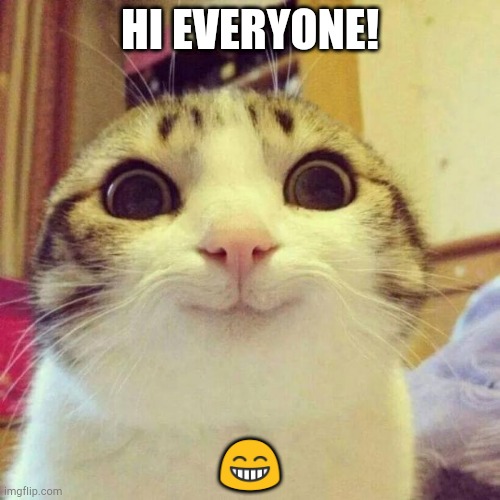 Smiling Cat | HI EVERYONE! 😁 | image tagged in memes,smiling cat | made w/ Imgflip meme maker