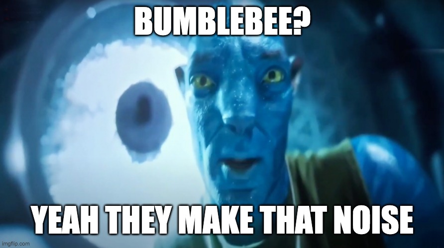 that old avatar meme | BUMBLEBEE? YEAH THEY MAKE THAT NOISE | image tagged in staring avatar colonel | made w/ Imgflip meme maker