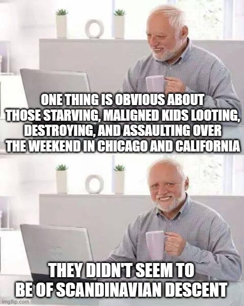 Hide the Pain Harold | ONE THING IS OBVIOUS ABOUT THOSE STARVING, MALIGNED KIDS LOOTING, DESTROYING, AND ASSAULTING OVER THE WEEKEND IN CHICAGO AND CALIFORNIA; THEY DIDN'T SEEM TO BE OF SCANDINAVIAN DESCENT | image tagged in memes,hide the pain harold | made w/ Imgflip meme maker
