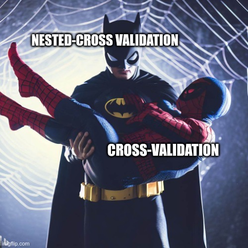 Nested cross validation to the rescue | NESTED-CROSS VALIDATION; CROSS-VALIDATION | image tagged in batman_spidey | made w/ Imgflip meme maker
