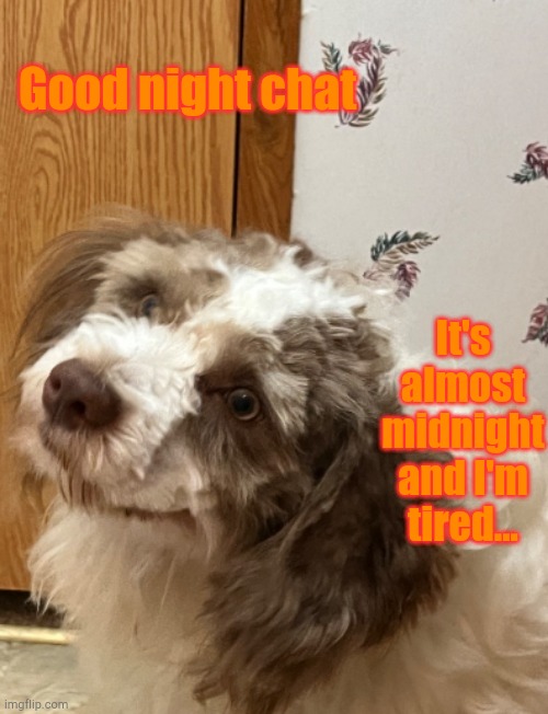 picture | Good night chat; It's almost midnight and I'm tired... | image tagged in picture | made w/ Imgflip meme maker