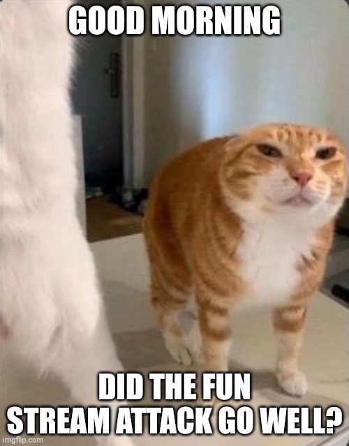Schizophrenic Cat.pdf | GOOD MORNING; DID THE FUN STREAM ATTACK GO WELL? | image tagged in schizophrenic cat pdf | made w/ Imgflip meme maker
