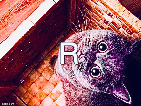 R | image tagged in cat,deep fried,alphabet | made w/ Imgflip meme maker