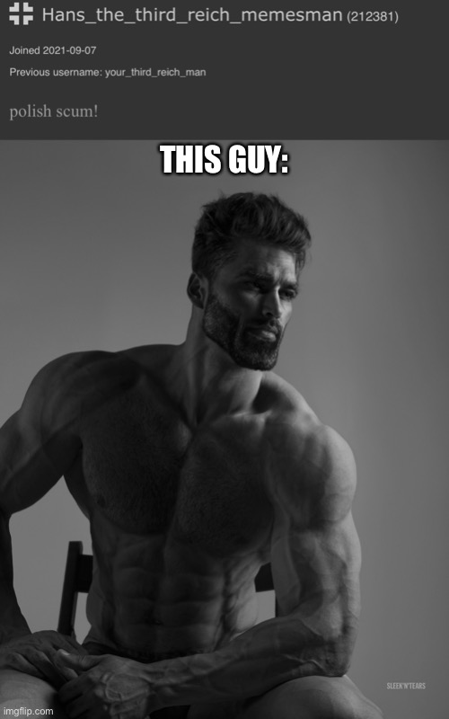THIS GUY: | image tagged in giga chad | made w/ Imgflip meme maker