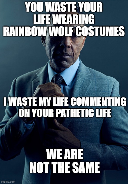 wy yes | YOU WASTE YOUR LIFE WEARING RAINBOW WOLF COSTUMES; I WASTE MY LIFE COMMENTING ON YOUR PATHETIC LIFE; WE ARE NOT THE SAME | image tagged in gus fring we are not the same | made w/ Imgflip meme maker