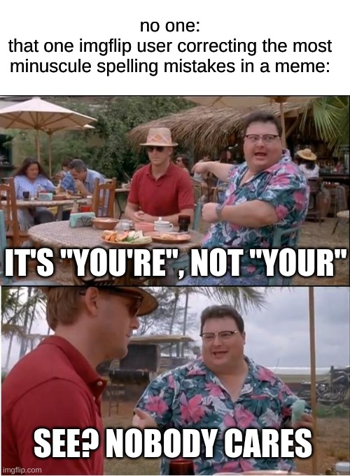 Theres no way someone's not gonna correct something in this meme | no one:
that one imgflip user correcting the most minuscule spelling mistakes in a meme:; IT'S "YOU'RE", NOT "YOUR"; SEE? NOBODY CARES | image tagged in memes,see nobody cares,relateable,funny,so true memes | made w/ Imgflip meme maker