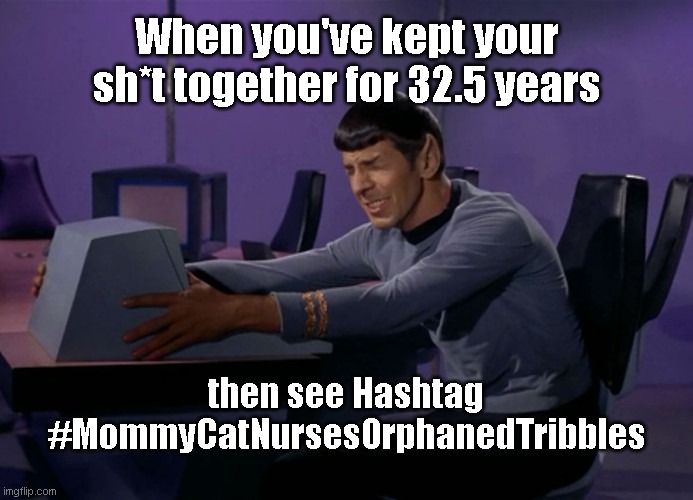 Spock emotional | When you've kept your sh*t together for 32.5 years; then see Hashtag #MommyCatNursesOrphanedTribbles | image tagged in spock emotional,star trek,mr spock,humor | made w/ Imgflip meme maker