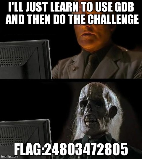 I'll just learn to use gdb and then do the challenge...