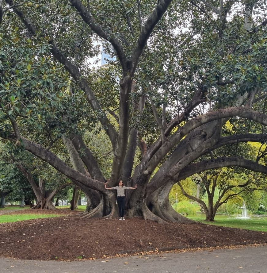 Tree Blank Meme Template