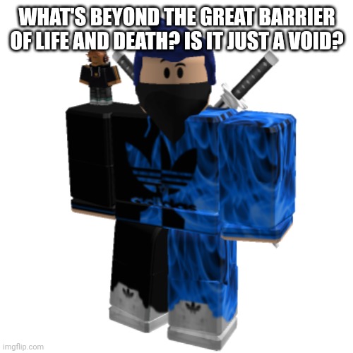 Zero Frost | WHAT'S BEYOND THE GREAT BARRIER OF LIFE AND DEATH? IS IT JUST A VOID? | image tagged in zero frost | made w/ Imgflip meme maker