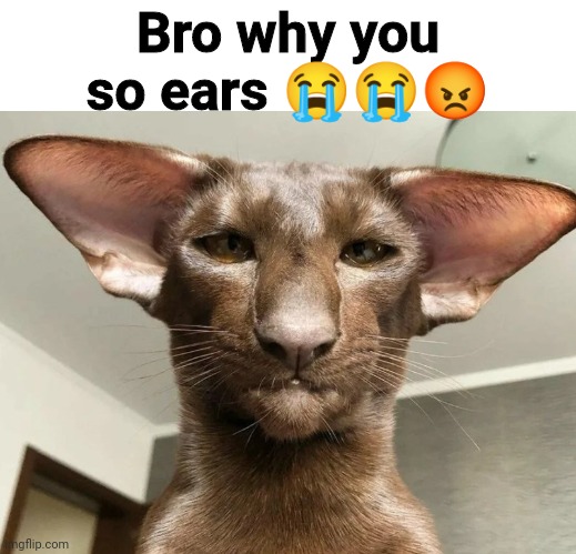 Bro why you so ears 😭😭😡 | made w/ Imgflip meme maker