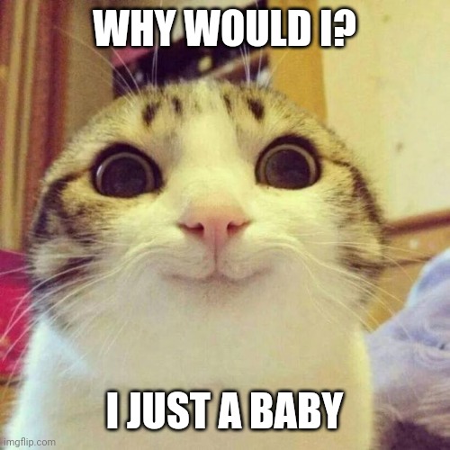 Cat memes | WHY WOULD I? I JUST A BABY | image tagged in memes,smiling cat | made w/ Imgflip meme maker