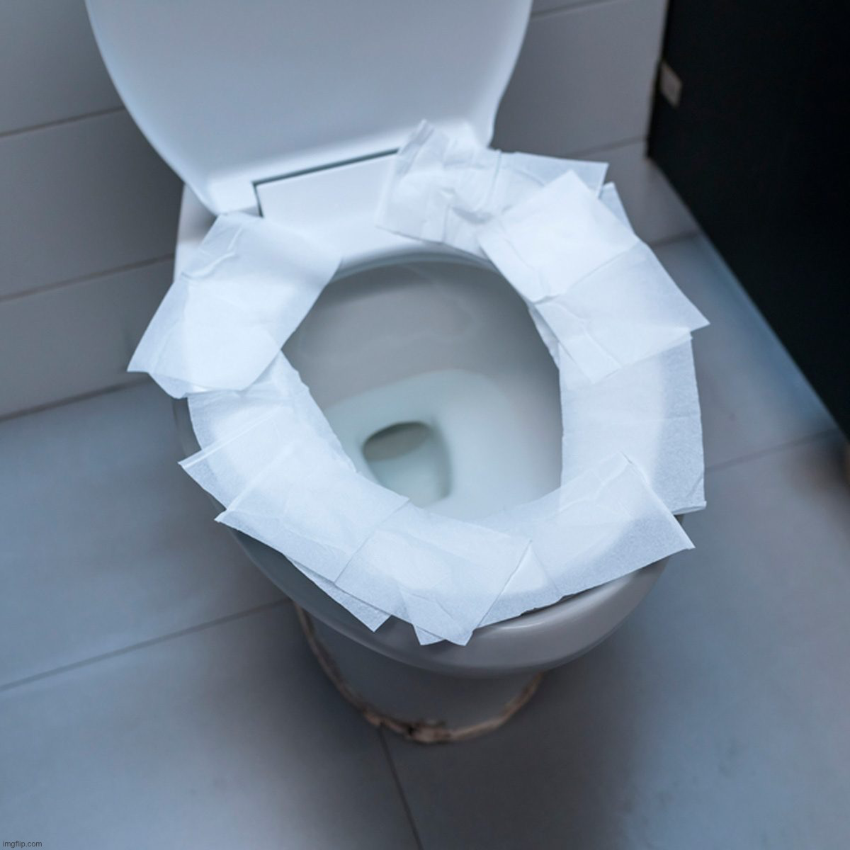 High Quality Public Toilet Blank Meme Template