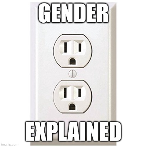 Electrical outlet | GENDER; EXPLAINED | image tagged in electrical outlet | made w/ Imgflip meme maker
