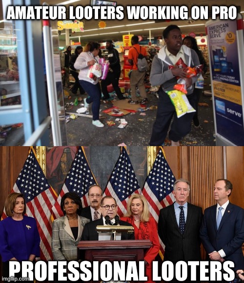 Yup | AMATEUR LOOTERS WORKING ON PRO; PROFESSIONAL LOOTERS | image tagged in looters,house democrats,liberals,democrats | made w/ Imgflip meme maker