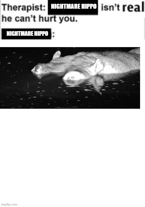Nightmare Hippo | NIGHTMARE HIPPO; NIGHTMARE HIPPO; NIGHTMARE HIPPO | image tagged in it cant hurt you | made w/ Imgflip meme maker
