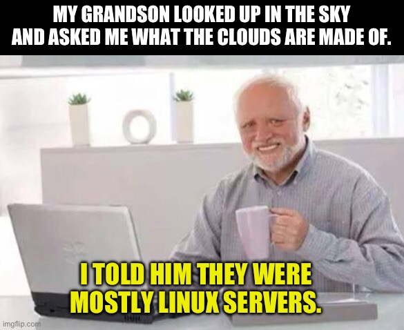 Yes, I am very nerdy | MY GRANDSON LOOKED UP IN THE SKY AND ASKED ME WHAT THE CLOUDS ARE MADE OF. I TOLD HIM THEY WERE MOSTLY LINUX SERVERS. | image tagged in harold | made w/ Imgflip meme maker