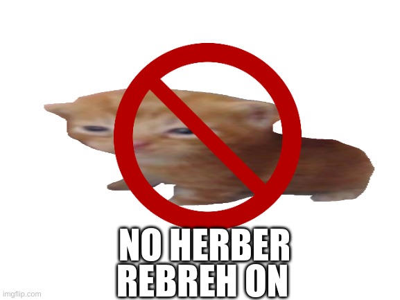 wait | NO HERBER; REBREH ON | image tagged in herbert | made w/ Imgflip meme maker
