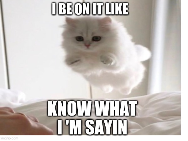I BE ON IT LIKE; KNOW WHAT I 'M SAYIN | made w/ Imgflip meme maker