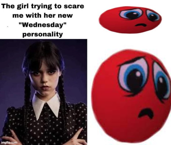 contraband | image tagged in wednesday addams,balls | made w/ Imgflip meme maker
