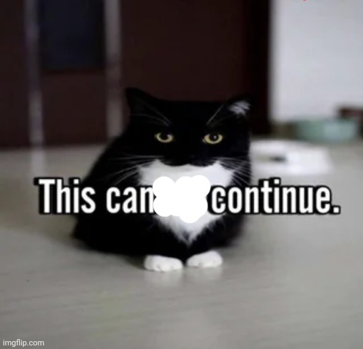 This cannot continue. | image tagged in this cannot continue | made w/ Imgflip meme maker