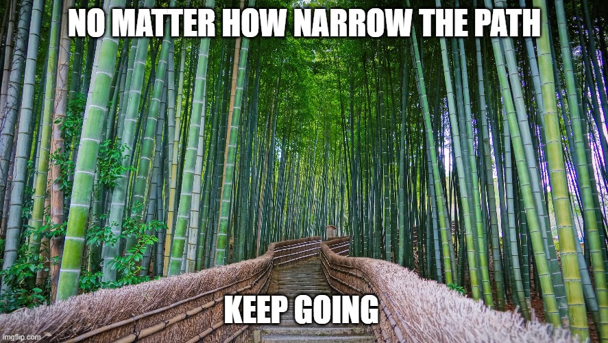 Humanity First | NO MATTER HOW NARROW THE PATH; KEEP GOING | image tagged in so true memes | made w/ Imgflip meme maker