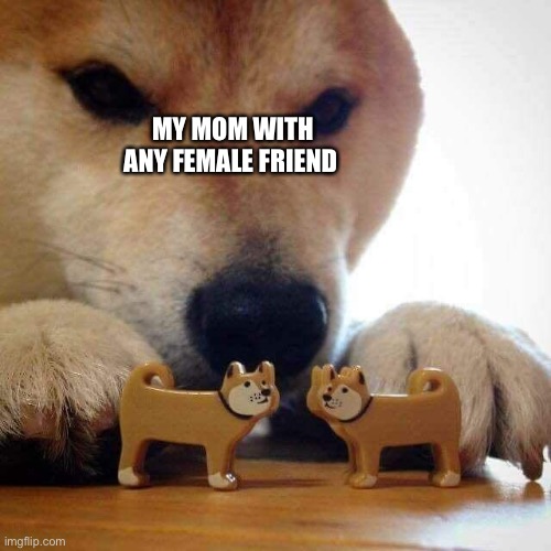 dog now kiss  | MY MOM WITH ANY FEMALE FRIEND | image tagged in dog now kiss | made w/ Imgflip meme maker