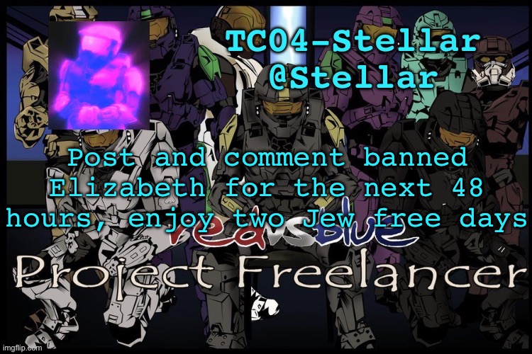 Stellar freelancer announcement | Post and comment banned Elizabeth for the next 48 hours, enjoy two Jew free days | image tagged in stellar freelancer announcement | made w/ Imgflip meme maker