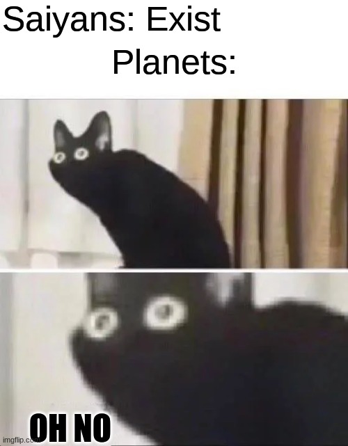 *Explodes* | Saiyans: Exist; Planets:; OH NO | image tagged in oh no black cat,dragon ball z | made w/ Imgflip meme maker