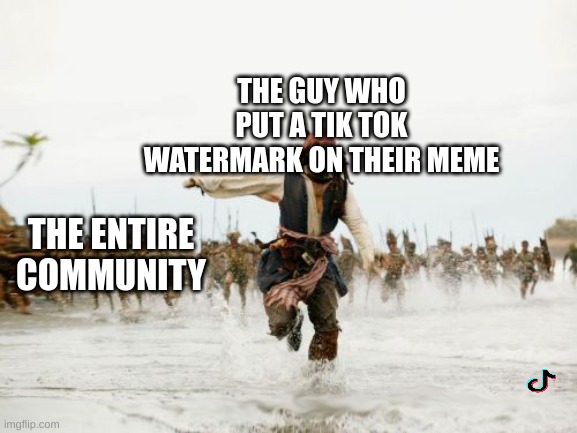 Jack Sparrow Being Chased Meme | THE GUY WHO PUT A TIK TOK WATERMARK ON THEIR MEME; THE ENTIRE COMMUNITY | image tagged in memes,jack sparrow being chased | made w/ Imgflip meme maker