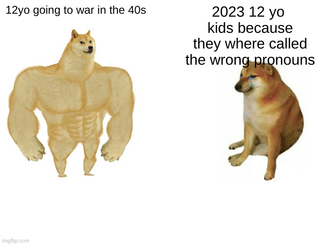 Buff Doge vs. Cheems Meme | 12yo going to war in the 40s; 2023 12 yo  kids because they where called the wrong pronouns | image tagged in memes,buff doge vs cheems | made w/ Imgflip meme maker