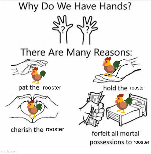 Why do we have hands? (all blank) | rooster; rooster; rooster; rooster | image tagged in why do we have hands all blank | made w/ Imgflip meme maker
