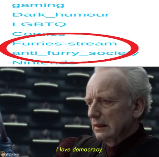 because furries-stream is slightly more famous than anti_furry_sosiaty | image tagged in i love democracy | made w/ Imgflip meme maker