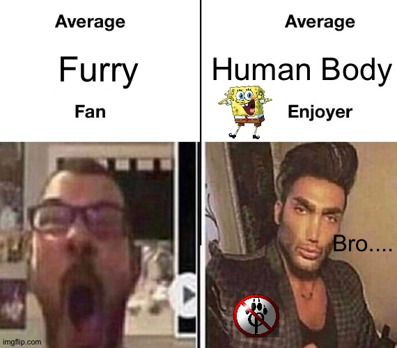 Average Fan vs. Average Enjoyer | Human Body; Furry; Bro.... | image tagged in average fan vs average enjoyer | made w/ Imgflip meme maker