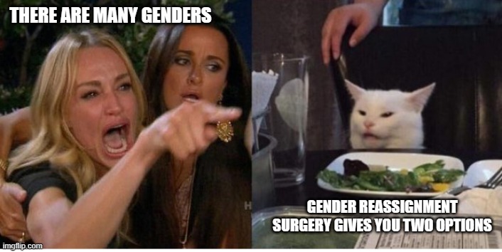 One, two | THERE ARE MANY GENDERS; GENDER REASSIGNMENT SURGERY GIVES YOU TWO OPTIONS | image tagged in karen and smudge,two genders,gender reassignment surgery,well darn,but we want more,trust the science | made w/ Imgflip meme maker