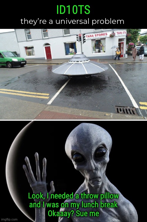 More in common than we thought? | ID10TS; they’re a universal problem; Look, I needed a throw pillow
and I was on my lunch break
Okaaay? Sue me | image tagged in funny memes,aliens,bad parking | made w/ Imgflip meme maker
